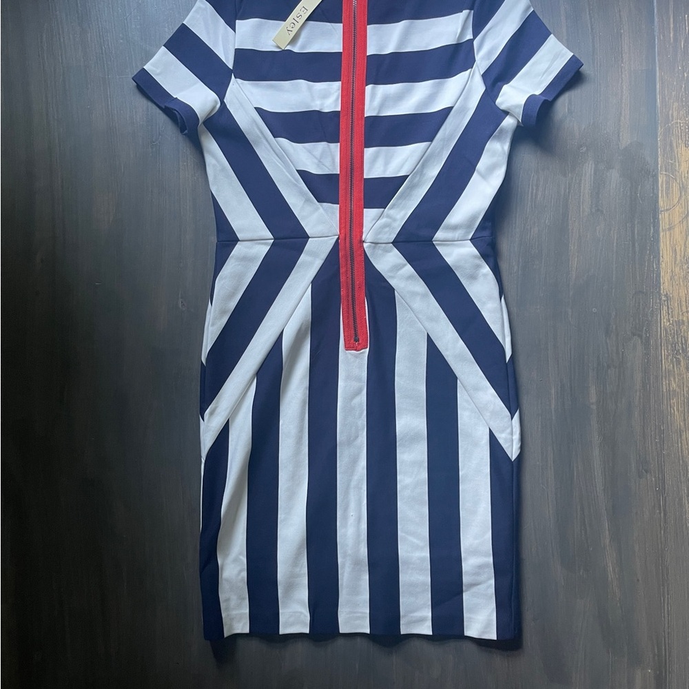 Esley Navy and White Striped Mini Dress